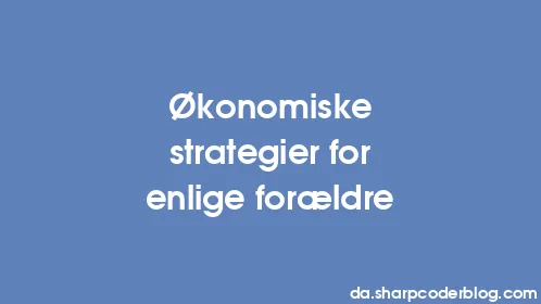 Økonomiske strategier for enlige forældre - Thumbnail
