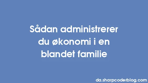 Sådan administrerer du økonomi i en blandet familie - Thumbnail