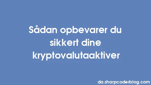 Sådan opbevarer du sikkert dine kryptovalutaaktiver - Thumbnail