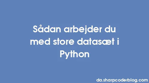 Sådan arbejder du med store datasæt i Python - Thumbnail