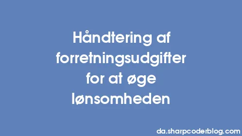 Håndtering af forretningsudgifter for at øge lønsomheden - Thumbnail