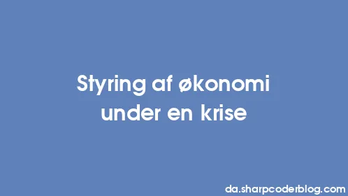 Styring af økonomi under en krise - Thumbnail