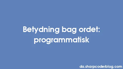 Betydning bag ordet: programmatisk - Thumbnail