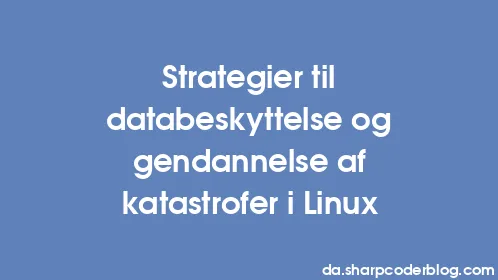 Strategier til databeskyttelse og gendannelse af katastrofer i Linux - Thumbnail