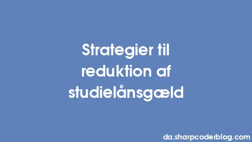 Strategier til reduktion af studielånsgæld - Thumbnail