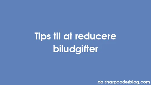 Tips til at reducere biludgifter - Thumbnail
