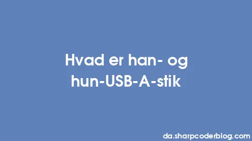 Hvad er han- og hun-USB-A-stik - Thumbnail