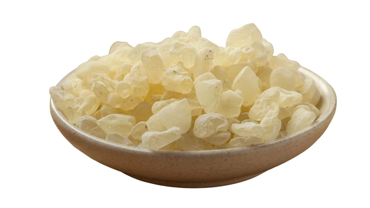 Chios Mastic Gum.
